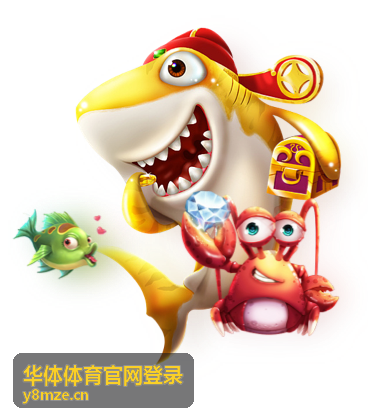 华体体育官网登录场馆与赛事日程配图