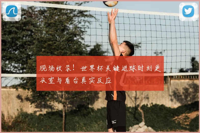 现场收录！世界杯关键进球时刻更衣室与看台真实反应