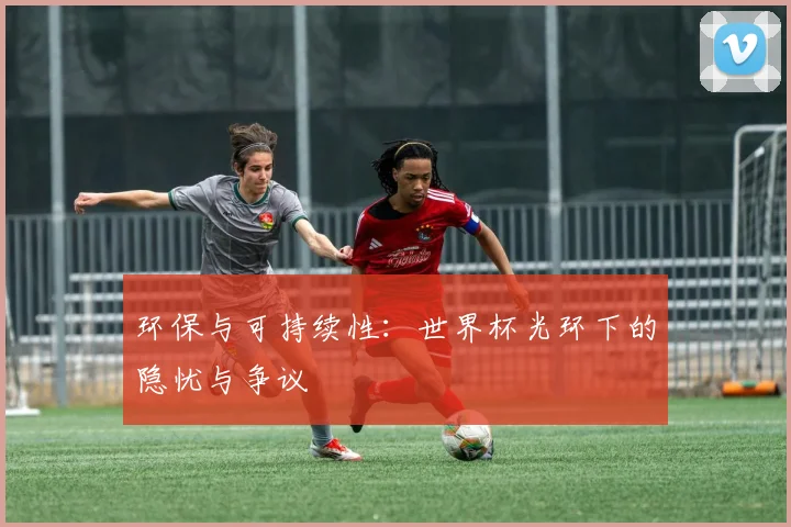 环保与可持续性：世界杯光环下的隐忧与争议