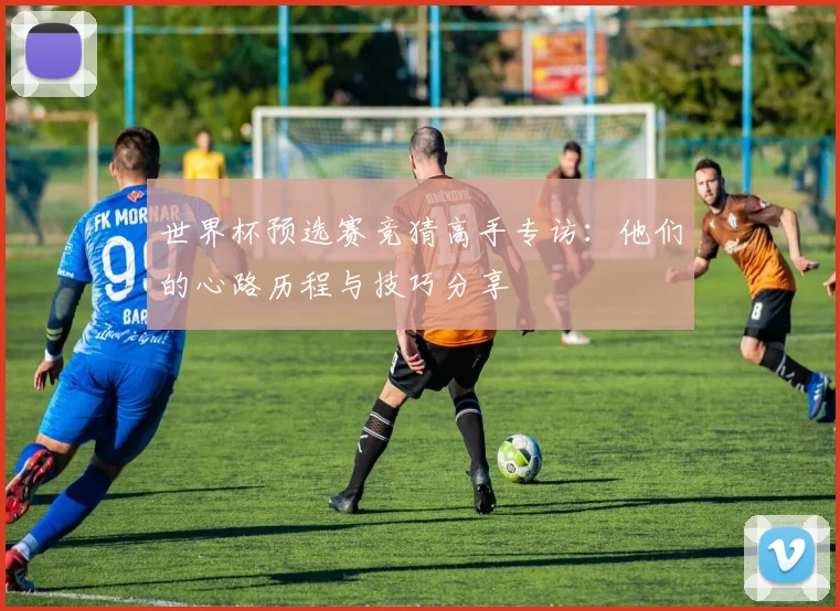 世界杯预选赛竞猜高手专访：他们的心路历程与技巧分享