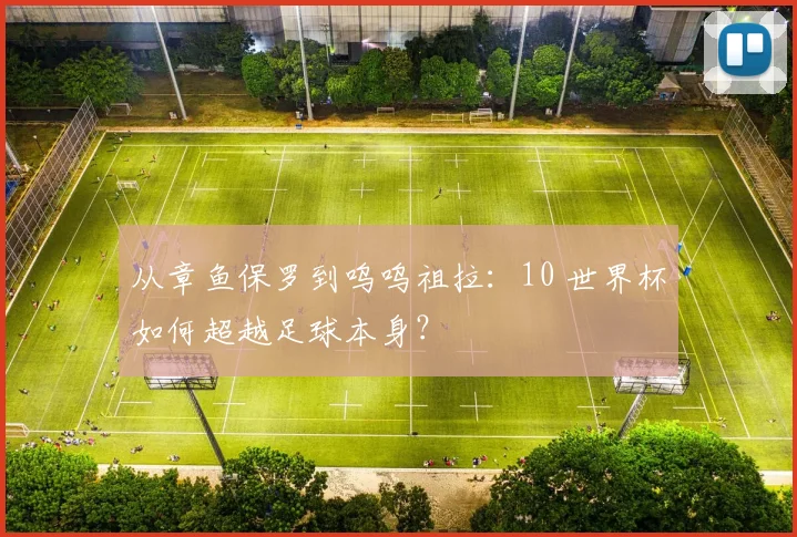 从章鱼保罗到呜呜祖拉：10 世界杯如何超越足球本身？